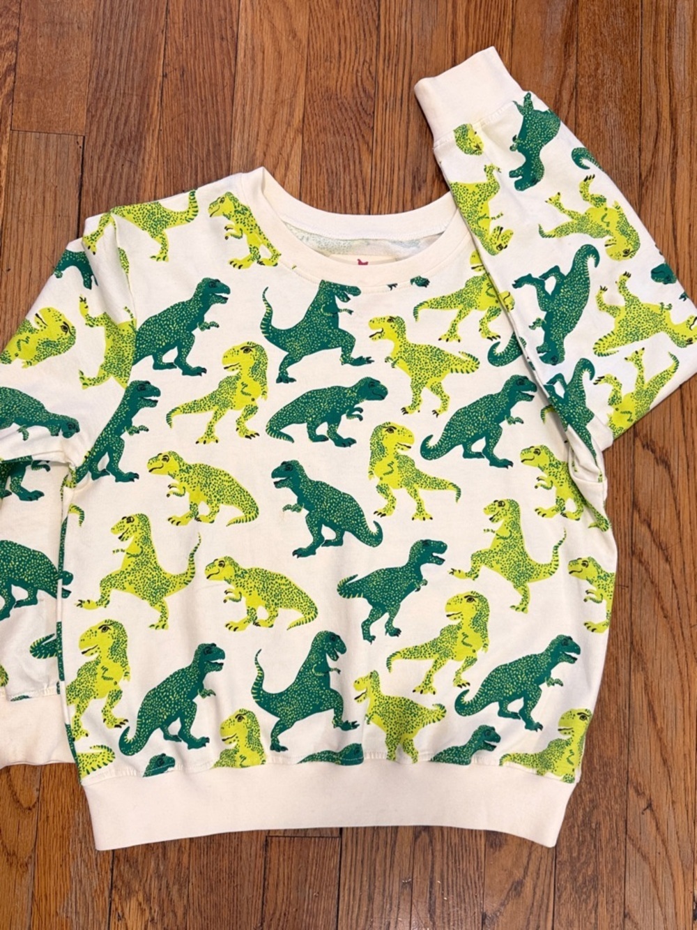 NWOT pink chicken 100% organic cotton dinosaur sweatshirt green dino 10Y boys
